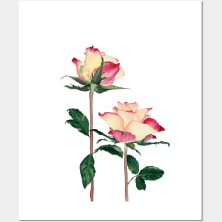 Watercolor yellow roses Posters and Art